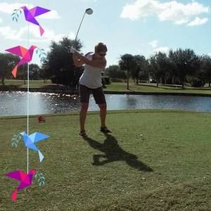 Meet your Posher, Joanne